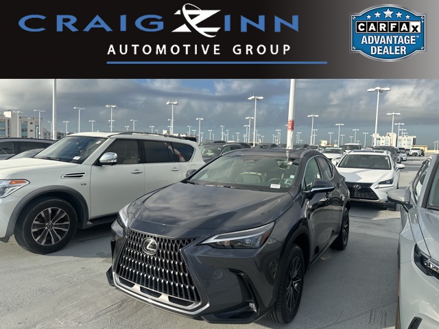 2024 Lexus NX