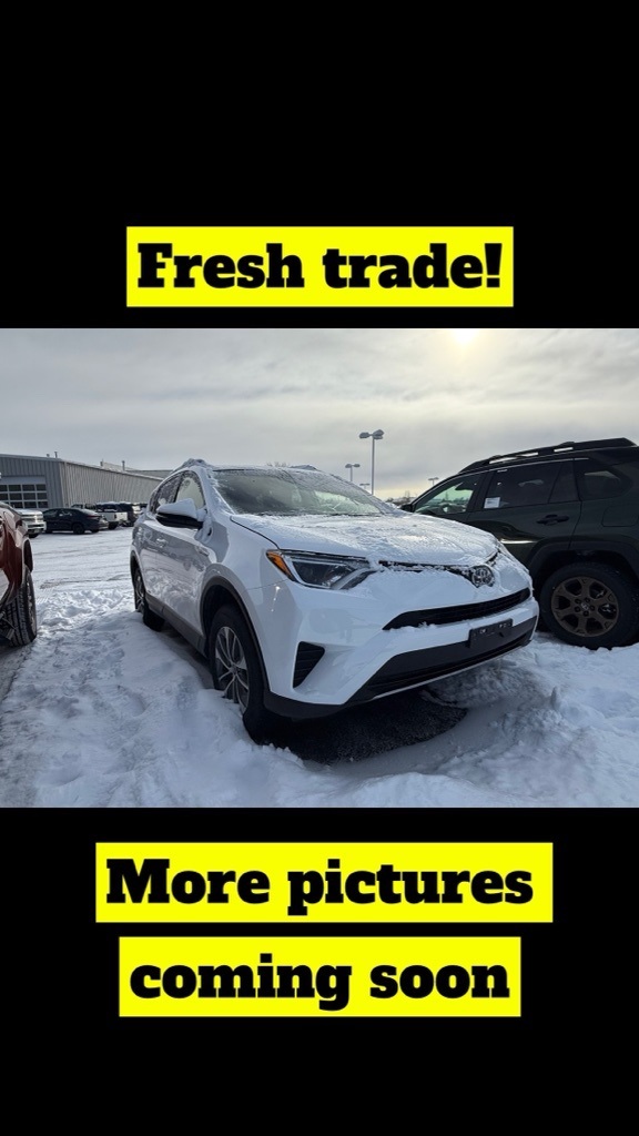 2019 Toyota RAV4