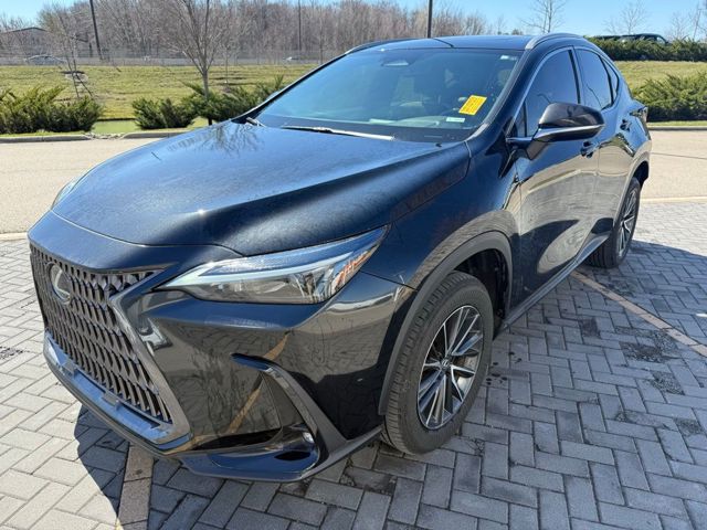 2024 Lexus NX 350h AWD