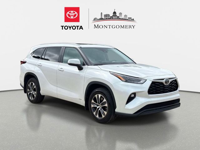 2025 Toyota Highlander Hybrid XLE