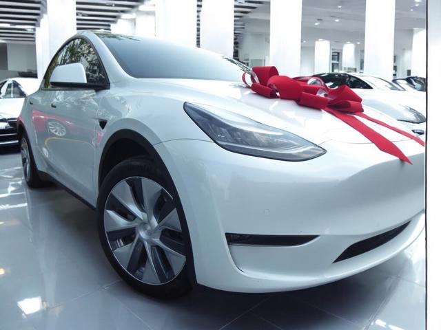 2020 Tesla Model Y Long Range AWD