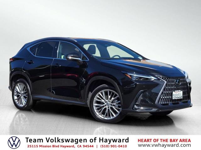 2023 Lexus NX 350h Luxury