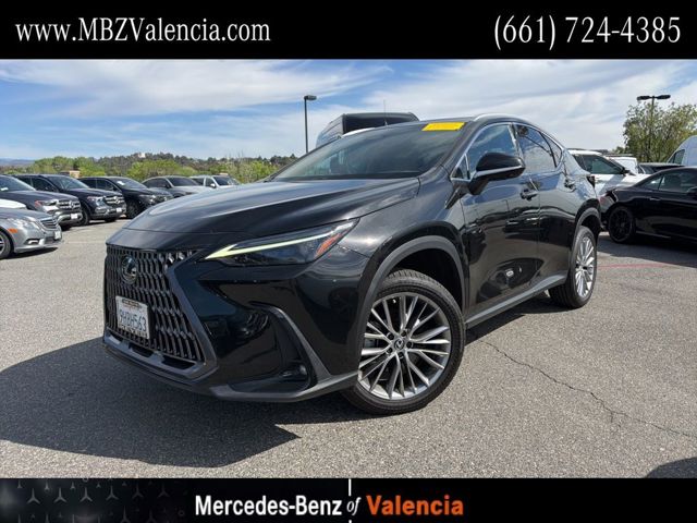 2024 Lexus NX 350 Luxury